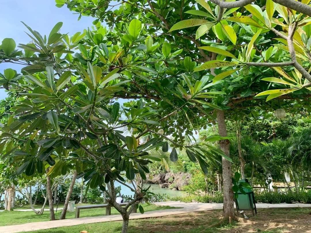 Cebu R Resort Tabuelan Eksteriør billede